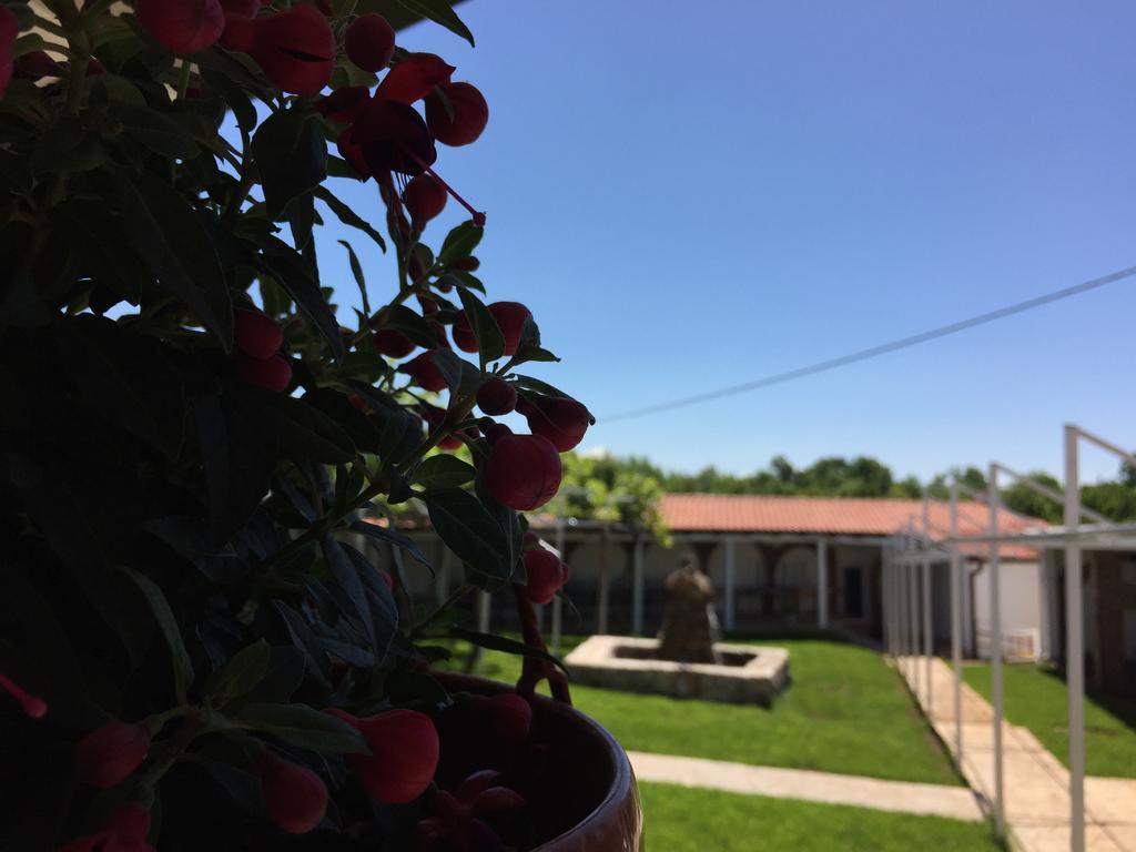Motel Kiwi Grude Екстериор снимка